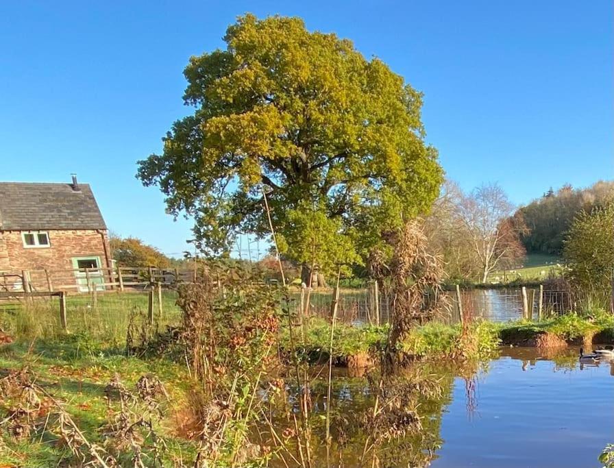 Oaklands Cottage On A Rural Farm Dingestow Exterior foto